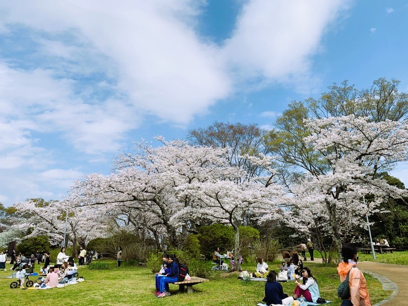 松ヶ丘公園