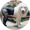 チートンソン（53坪） profile picture