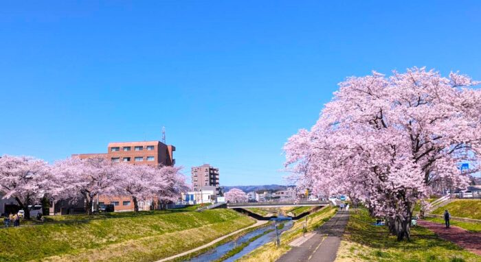 仙台市太白区の不動産売却事情｜宮城県・福島県・茨城県の不動産会社『イエステーション』