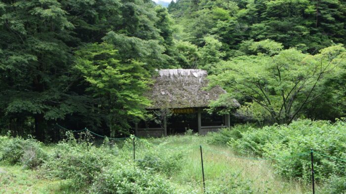 売れない土地を手放す方法イメージ画像|宮城県・福島県・茨城県の不動産会社『イエステーション』