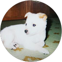 ゆきえ profile picture