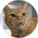 yacco profile picture