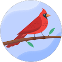 ルビー profile picture