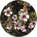 Ss h profile picture