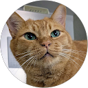 yacco profile picture
