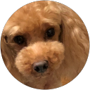 HIRO (HIRO) profile picture