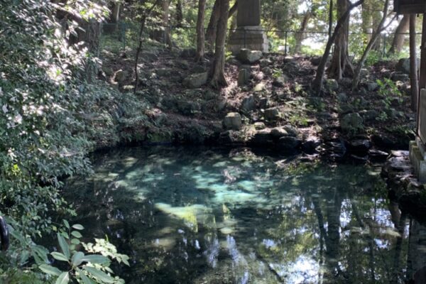 ABC56BC8-2C61-4044-A673-557B265C16C42020-08-11_14-20-55_827