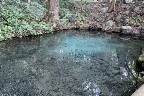 DC4F3850-1A87-490F-B03E-5A6CED2E3F862021-08-16_12-15-30_110