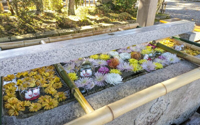 ③竹駒神社